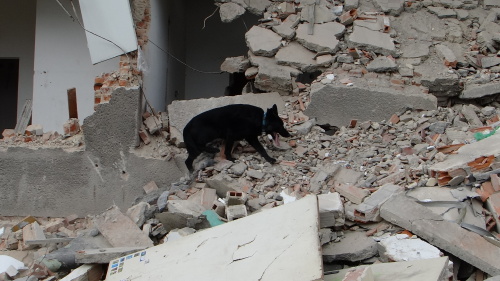 zavalenipatranisodovkarnyOstrava (18).JPG