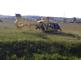DN_vlak_OA (1)