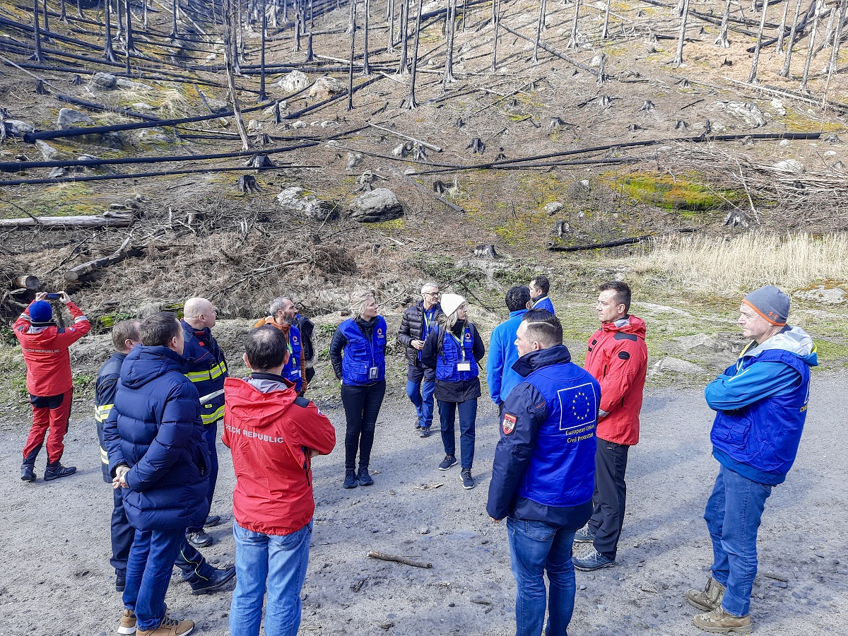 Devítičlenná delegace Wildfires Advisory Mission složená ze sedm expertů na lesní požáry ze Španělska, Francie, Rakouska a Finska a dva styční důstojníci ze Střediska pro koordinaci odezvy na mimořádné události (ERCC)