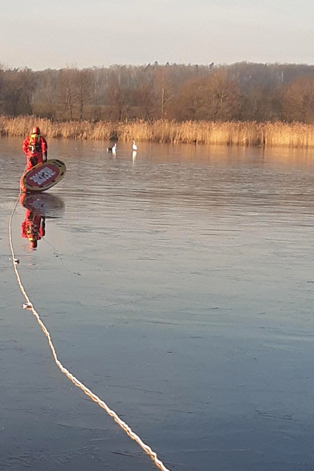 271224-Záchrana údajně přimrzlých labutí na hladině Velkého rybníka v Těchařovicích na Příbramsku.jpg