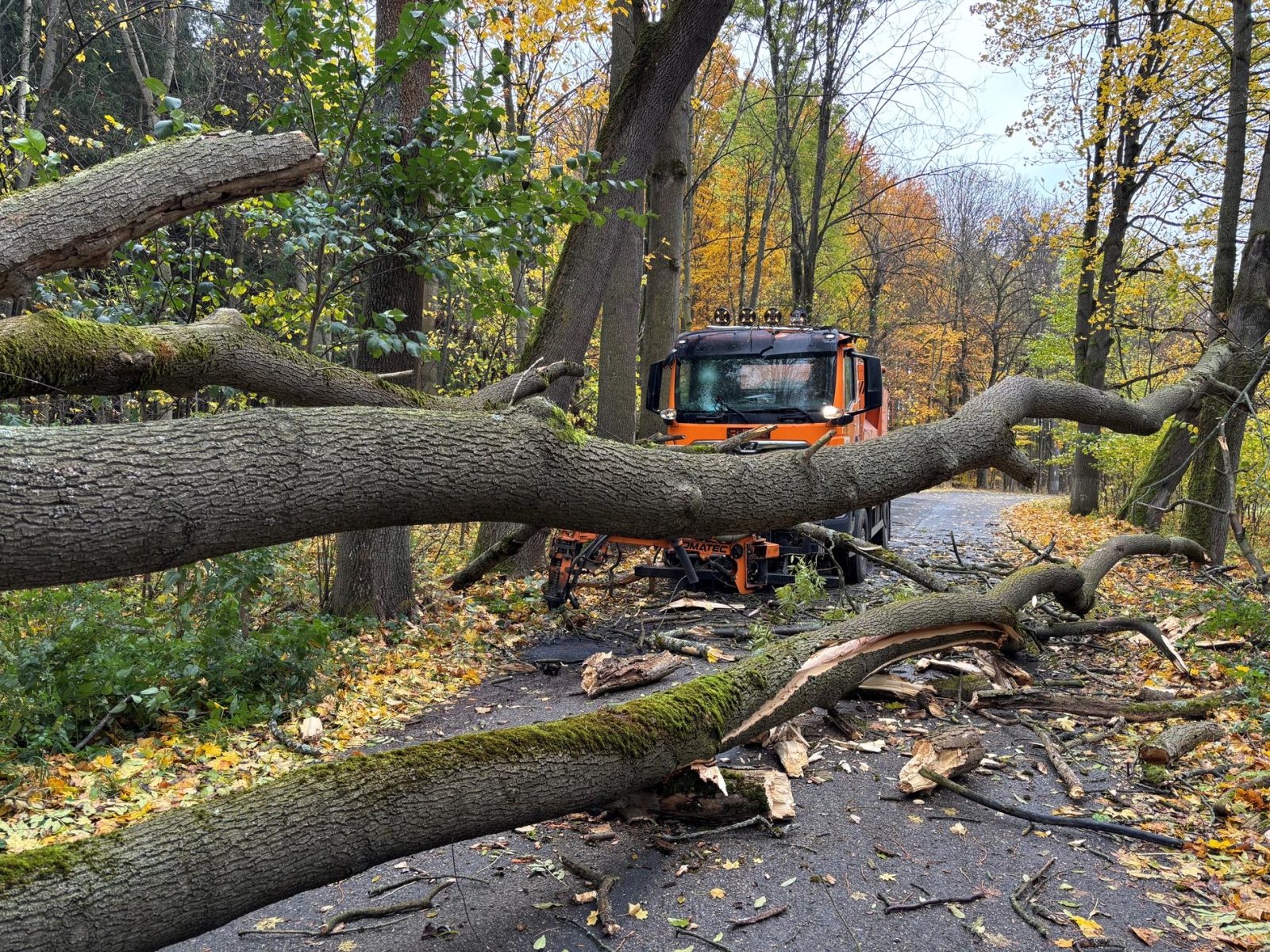 241025-Pád vyvráceného stromu na technické vozidlo poblíž motokrosového areálu u Votic na Benešovsku.jpg