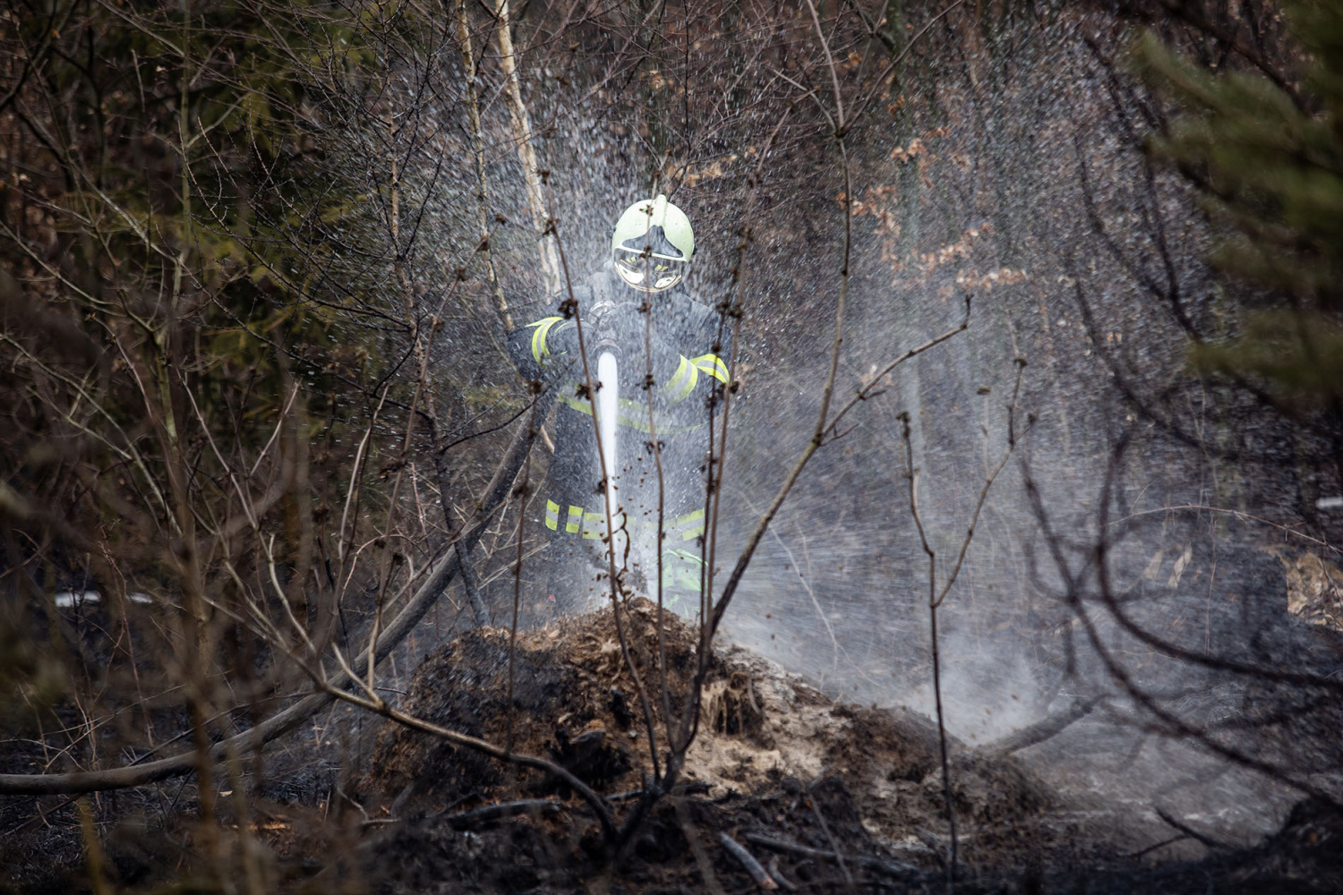 Lesní požár (4).jpg