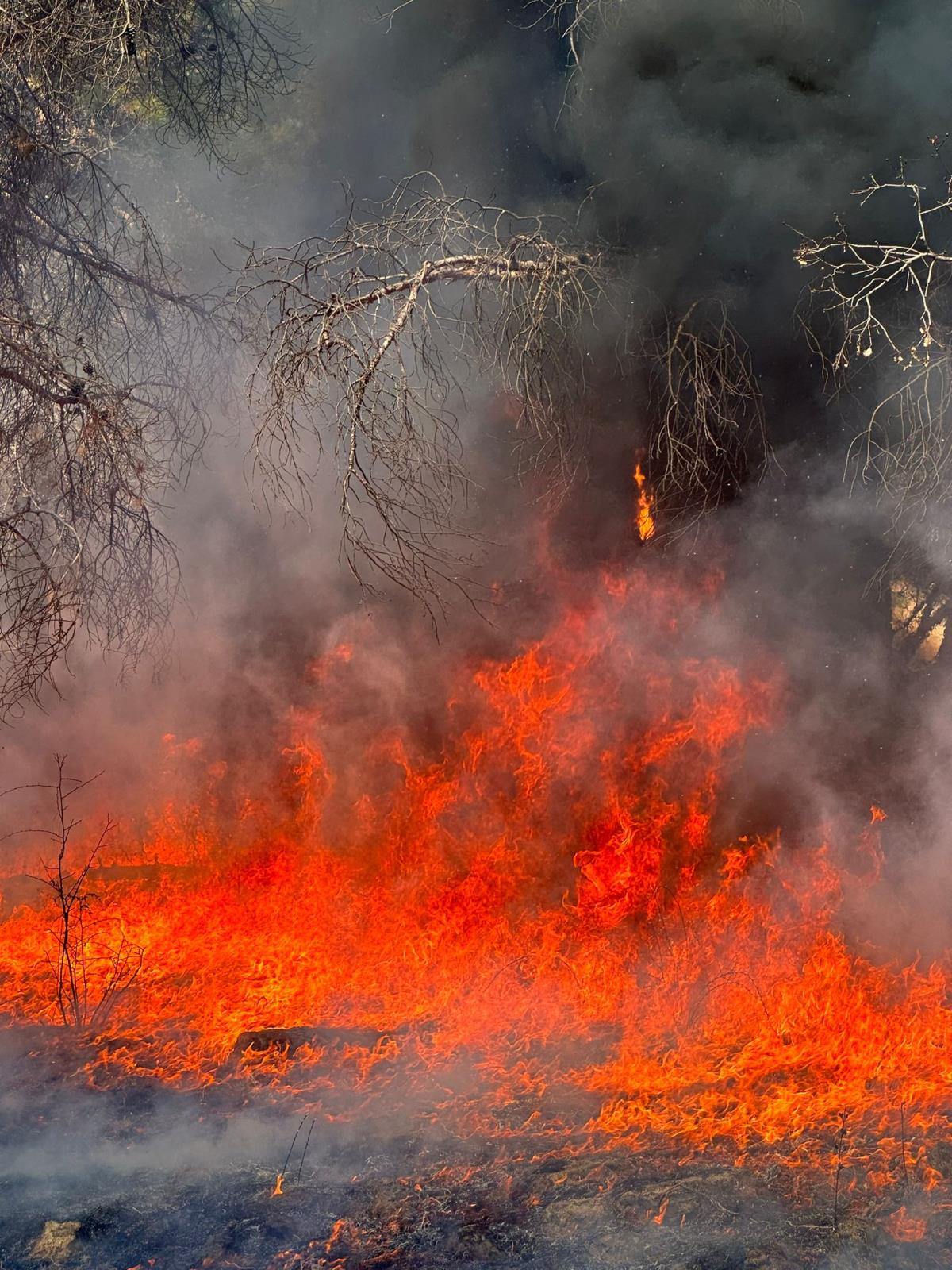 WhatsApp Image 2023-09-05 at 08.24.14(1).jpeg