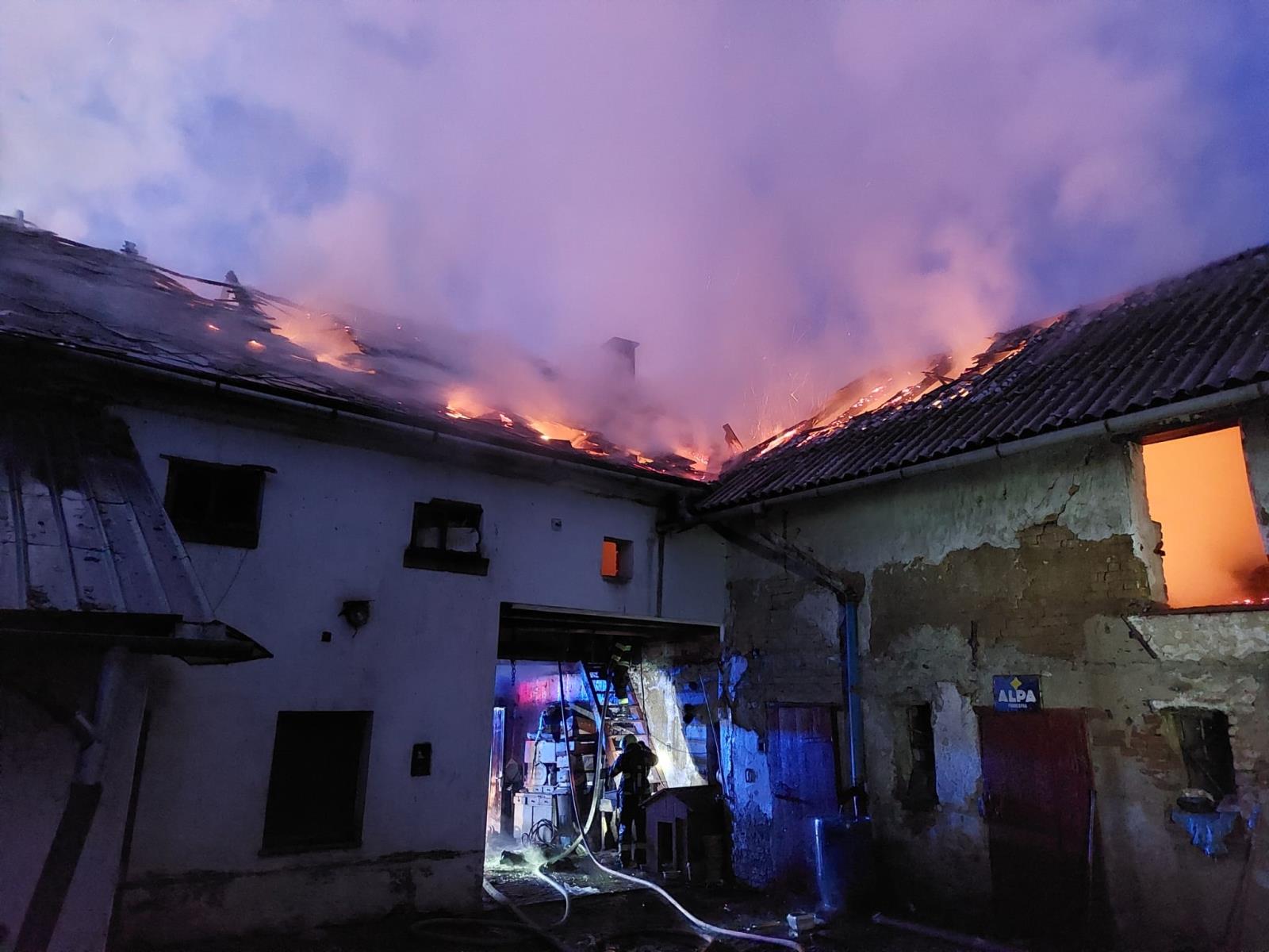 WhatsApp Image 2025-02-20 at 10.38.47(1).jpeg