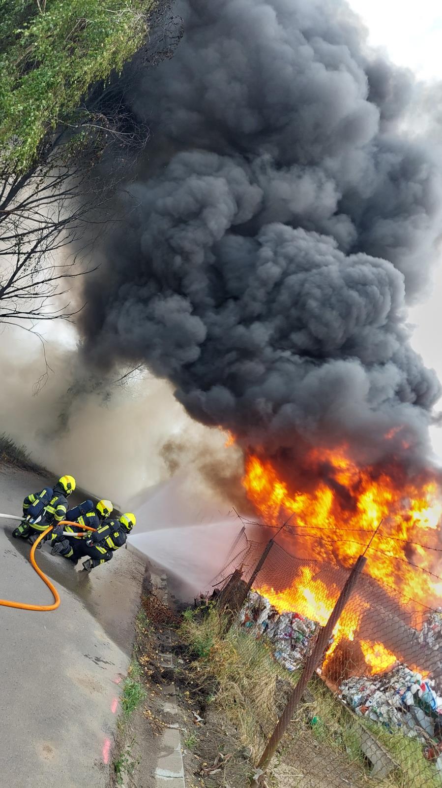 WhatsApp Image 2025-07-03 at 20.01.05(4).jpeg