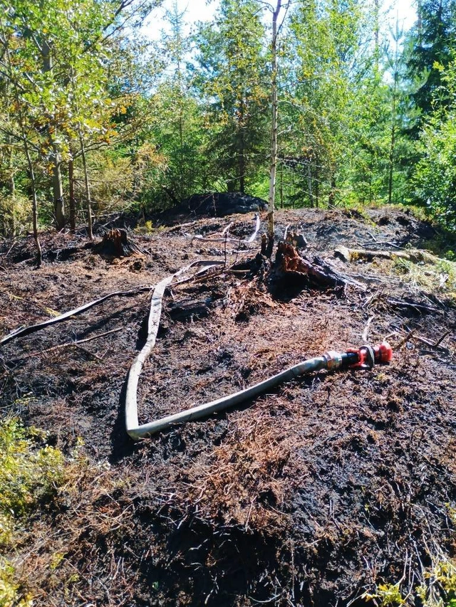 PJH_131T-2026_07_10-23d3be17