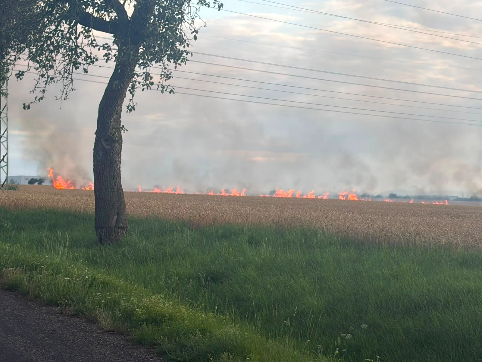 Požár pole na Lounsku